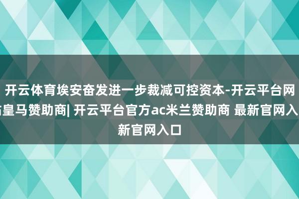 开云体育埃安奋发进一步裁减可控资本-开云平台网站皇马赞助商| 开云平台官方ac米兰赞助商 最新官网入口